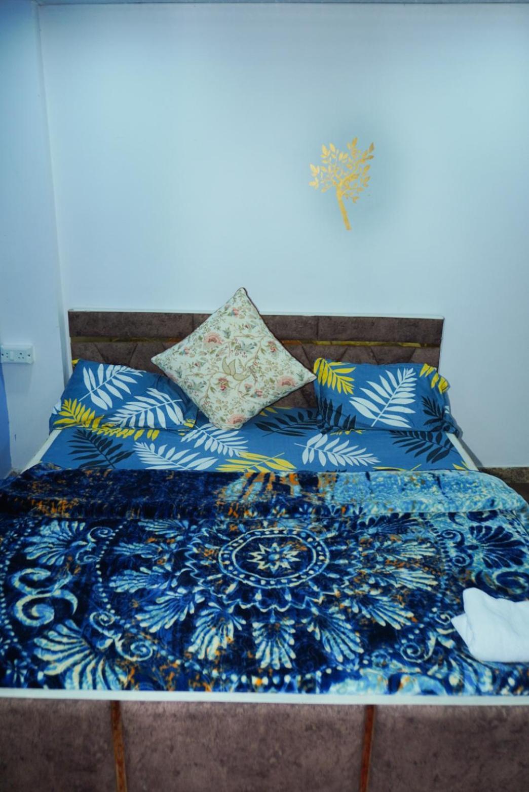 Flips With Mykonos Guest House Нью-Делі Екстер'єр фото